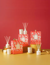 Passionfruit Punch Mini Candle + Diffuser Set